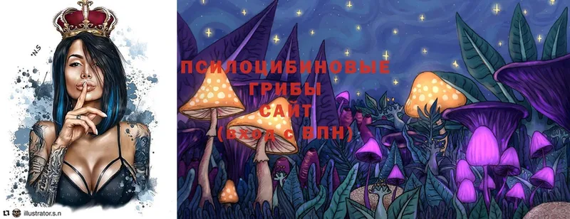 Псилоцибиновые грибы Cubensis  mega сайт  Буинск 